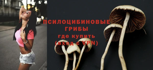 дмт Кодинск