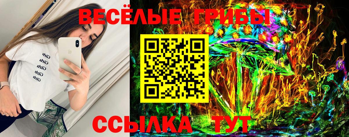 Галлюциногенные грибы мухоморы Батайск